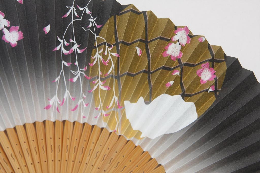 Kyo Fan Cat Kyoto Craftsman Handmade Black Painted Fan with Fan Bag and Cosmetic Box [Hasegawa]