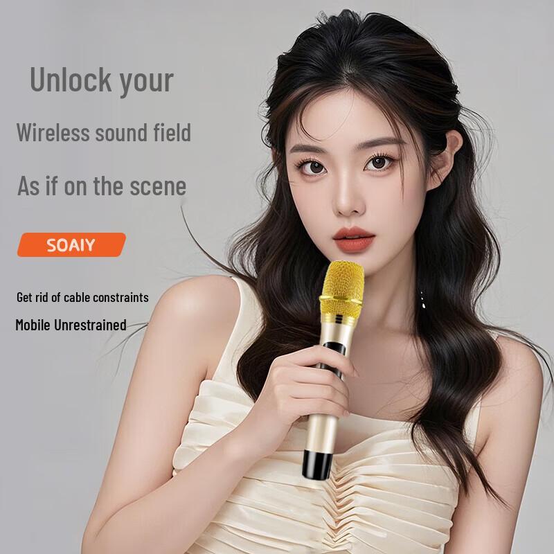 Souai SA-X63-S2 Portable Stage Speaker CN Plug (adapter Included)