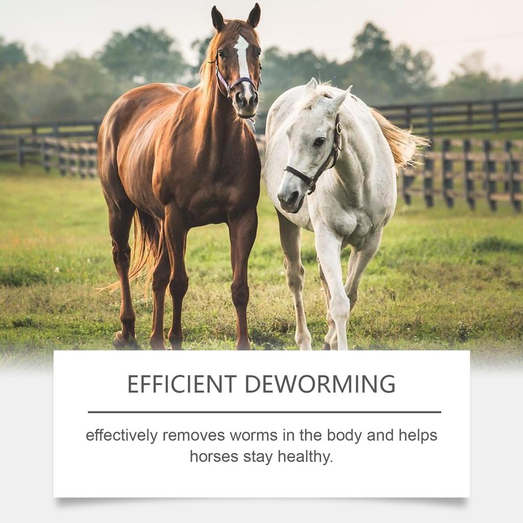 Ungüento de Caballo Sabor Manzana AMZ (Paquete de 3), Ungüento de Fórmula Suave para Repelente de Insectos y Equilibrio Físico para Caballos