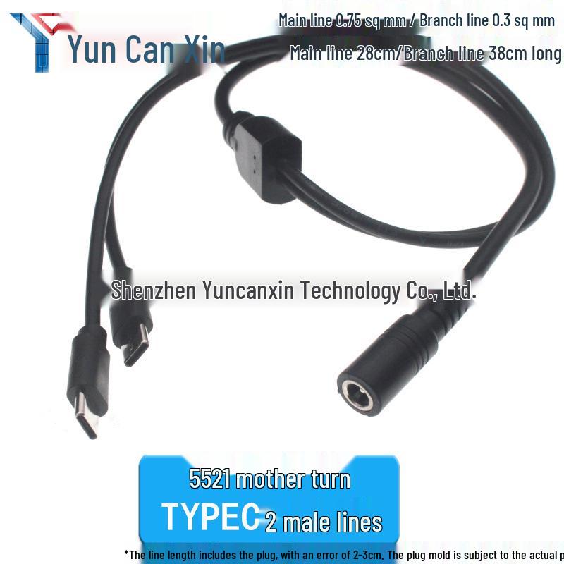 0.3m Type-C Dual-Core 3A Fast Charging Cable with Tinned USB-C Male Connector