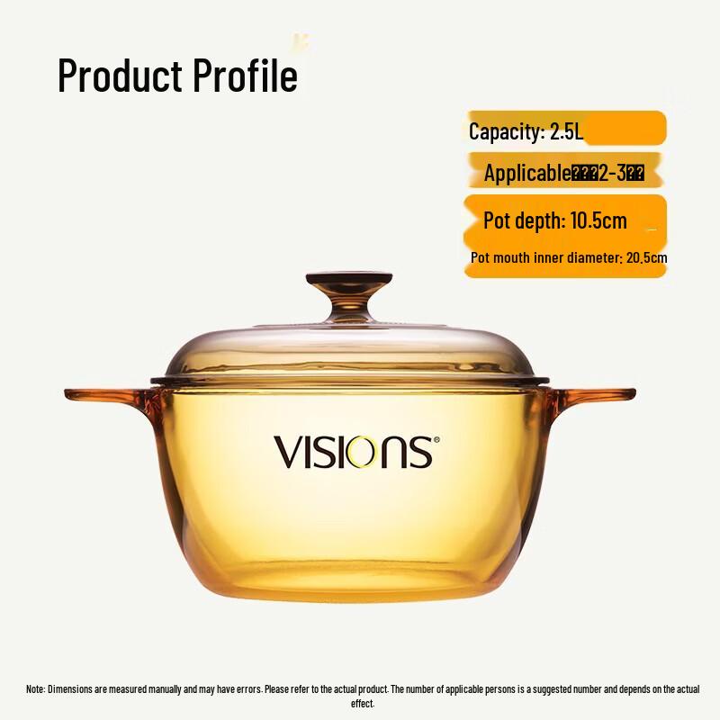 VISIONS 2.5L Glass Casserole Pot