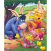 Serie Winnie the Pooh Pittura Diamante 5D Piena di Diamanti Fai da Te Pittura Diamante Fatta a Mano Kit Pittura Decorativa Cartone Animato