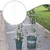 Support for Climbing Plants, , Vertical Cage, Structure Tomatoes, Practical Accessory