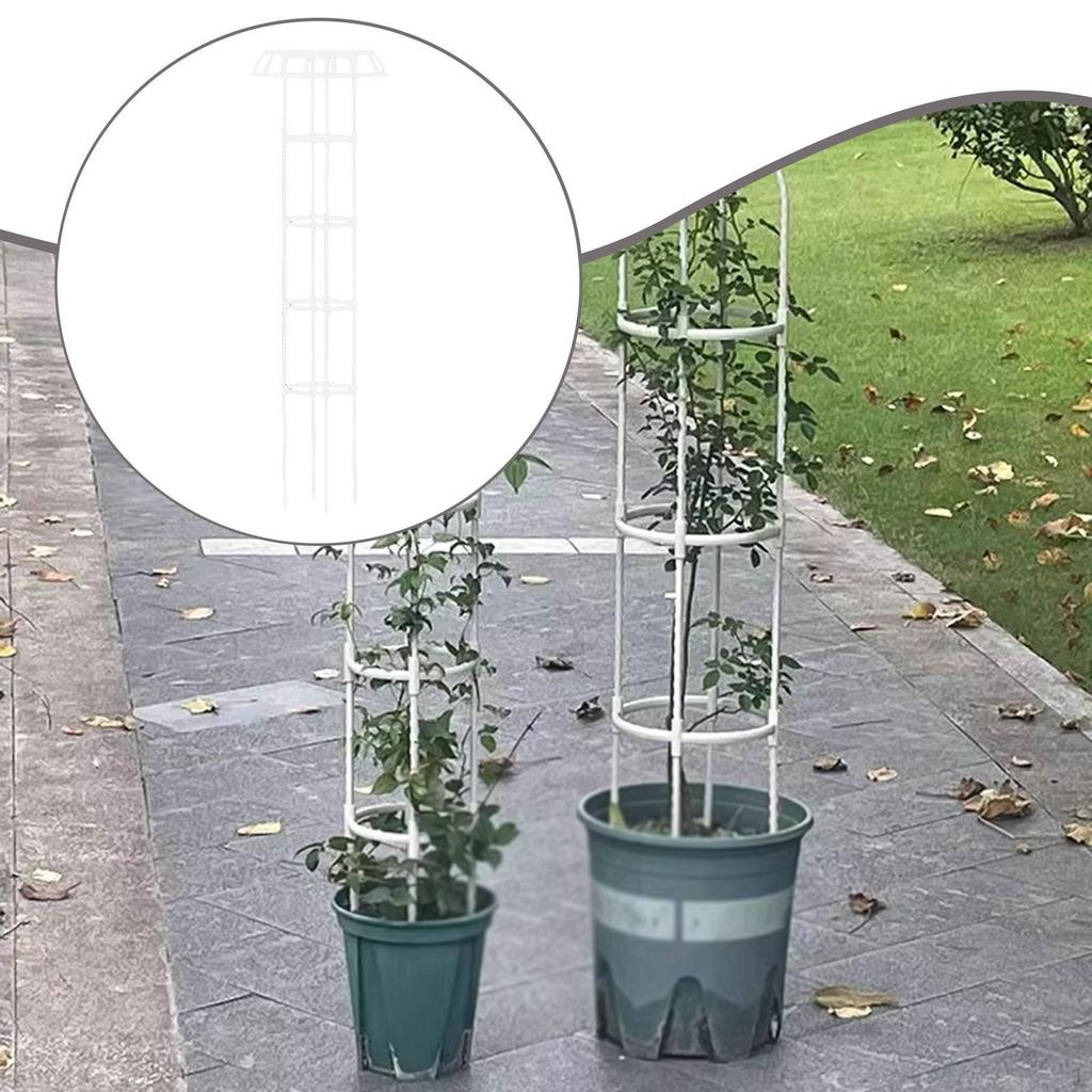 Support for Climbing Plants, , Vertical Cage, Structure Tomatoes, Practical Accessory