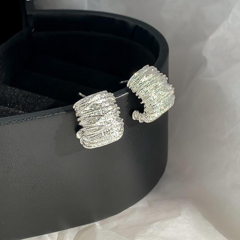 Sterling Silver Needle Fashion Special-Interest Design Metal Wave Fancy Elegant Hipster Earrings Stylish Stud Earrings Short for Women