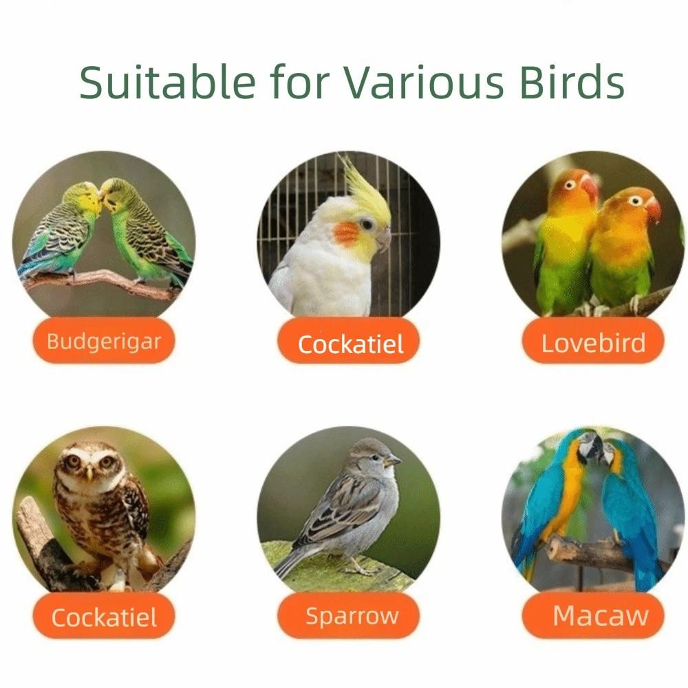 Bird Drinking Cup Hanging Bird Food Bowl Removable Wide Mouth Bird Cage Bath Anti Spill Dual-Purpose Parrot Bathtub Aviary