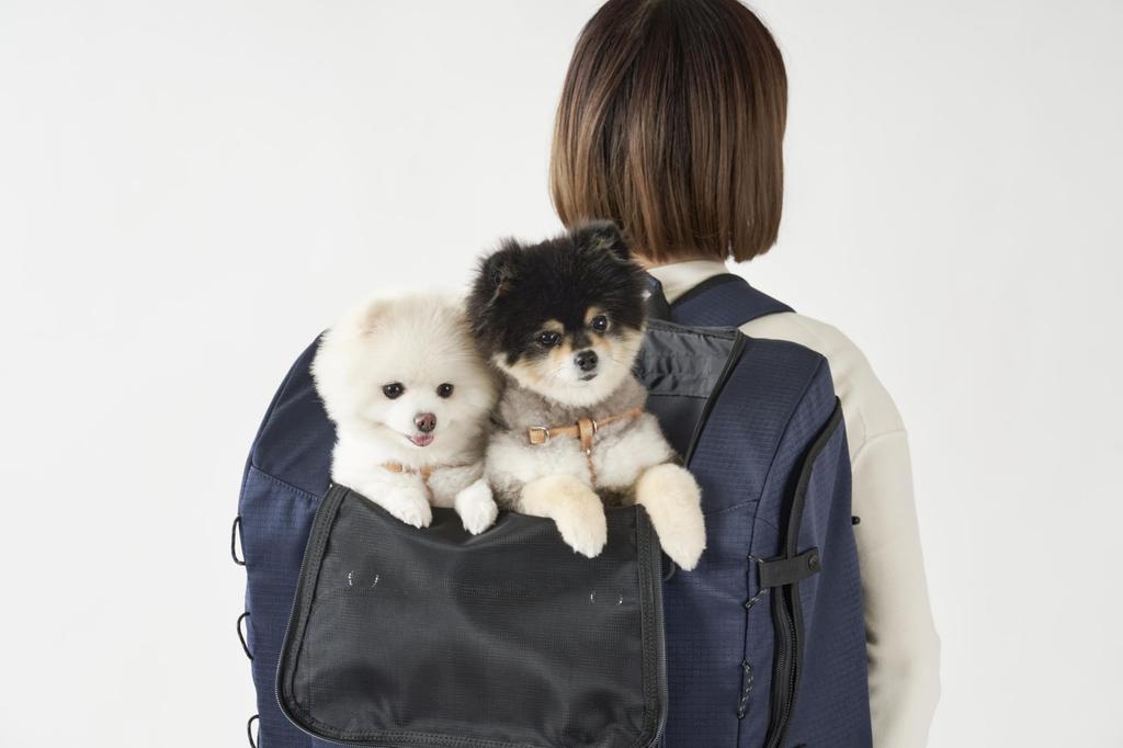 AirBuggy for Pet 3-Way Backpack Carrier Wide Black AD9073 AirBuggy Backpack Wide Size Black (NEW)