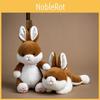 Pouch Pocket Soft Rabbit Plushie Pp Cotton Fill Children Plush Toy Enthusiasts