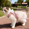 Pet Leash & Harness Set for Small Dogs and Cats – Vest Style for Walking