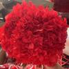 Multi-Color Preserved Bigleaf Hydrangea Single Stem Flower Bouquet for Home Decoration