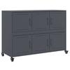 VidaXL Buffet, Cabinet with Door, Cupboard with Storage, Living Room Organizer, Home Interior, 846742