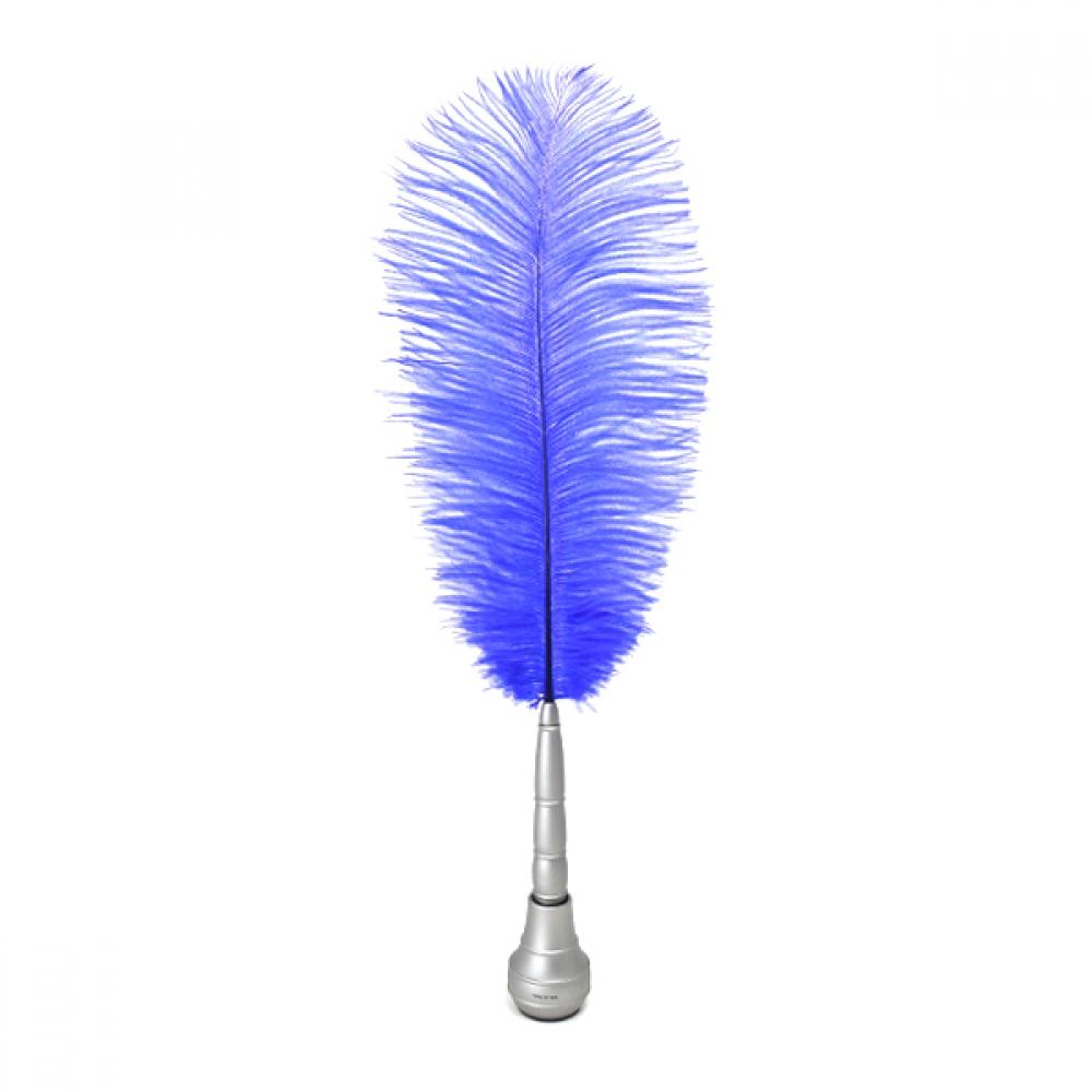 

Таша Шекспировское перо Карибское синее серебро