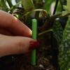 Plant Nutrient Stick Home Use Flower Green Potted Plant Growth Cultivation Flower Fruit Slow Release Nutrient Agent Wholesale