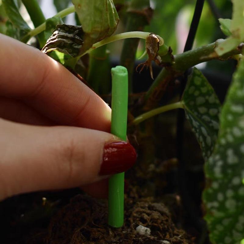Plant Nutrient Stick Home Use Flower Green Potted Plant Growth Cultivation Flower Fruit Slow Release Nutrient Agent Wholesale