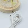 Floral Glow Garden Dome – 2 Dandelions – LED USB