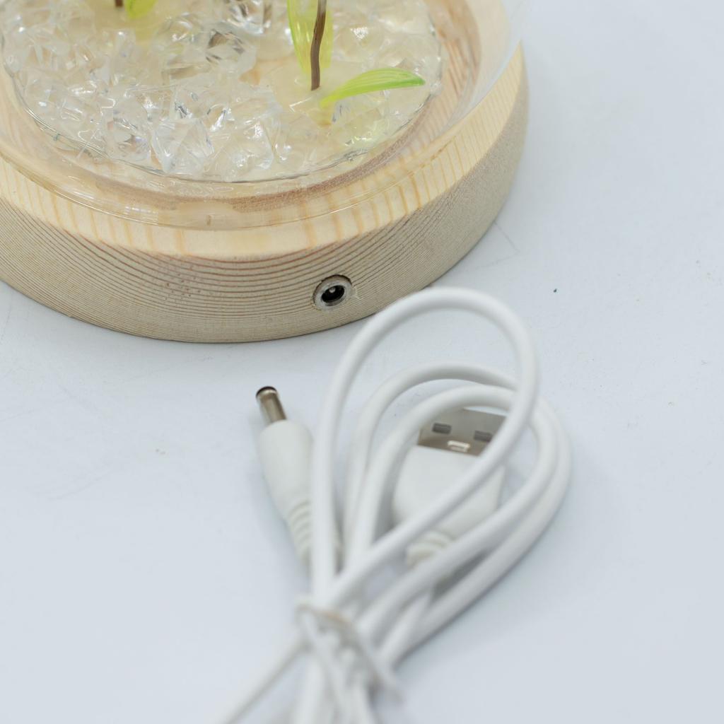 Floral Glow Garden Dome – 2 Dandelions – LED USB