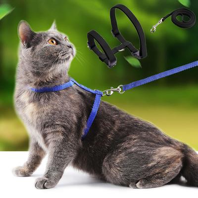 Goedkoop Sphynx Kat Tuigje en Lijn Set Handige Huisdierentuigjes voor Katten Gotas Katten huisdieren Accessoires Buiten Kedi Kat Lijn