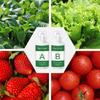 Hydroponic Nutrient Liquid Nutrient Succulents And Fruit Tree Natural Rooting Liquid Plant Nutrient Liquid Outdoor