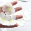 Premium 3D Phalaenopsis Orchid Petal Hairpins & Wedding Decor