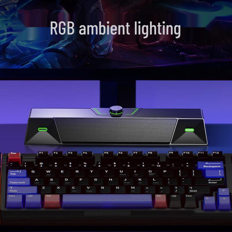 Newman V1 Wired Desktop Gaming Speaker