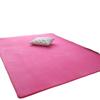 Modern Simple Style Thickened Non-Slip Coral Fleece Carpet for Living Room & Bedroom