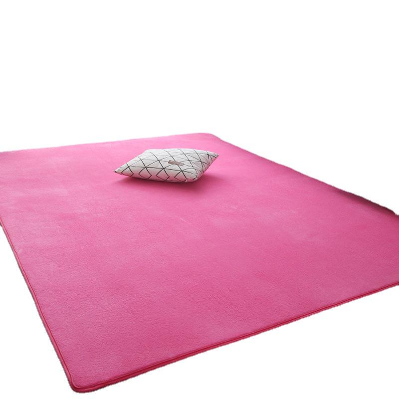 Modern Simple Style Thickened Non-Slip Coral Fleece Carpet for Living Room & Bedroom