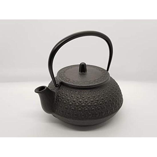 Iwachu Cast Iron Teapot Compatible Kyusu Type 5 Kikkō Black Burned 0.65L No Enamel Direct Fire Nambu Ironware 12804