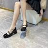 Design Sense Mary Jane Shoes Autumn and Winter New Retro Design Sense Niche Word with Thick Heels High Heels