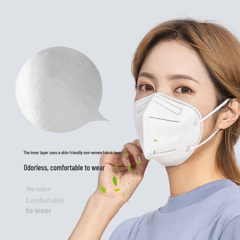 Ally Disposable N95 Industrial Dust Mask