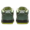 Concepts X Nike SB Dunk Low "Green Lobster" BV1310-337