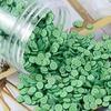 Craft Factory Sale 5mm Resin Polymer Clay Fruit Slices DIY Accessories for Nail Art Decoration Use As Souvenir Style Artificial