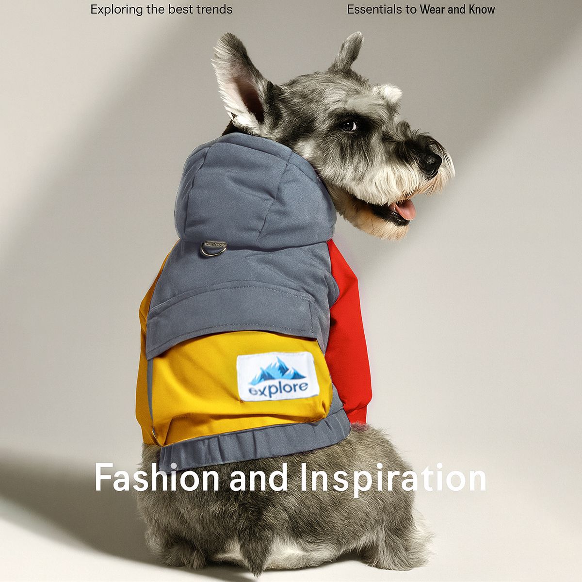 

Pet dog dog cat clothing puppy dog cat clothes autumn and winter new velvet thickened woof explorer cotton-padded clothes XL