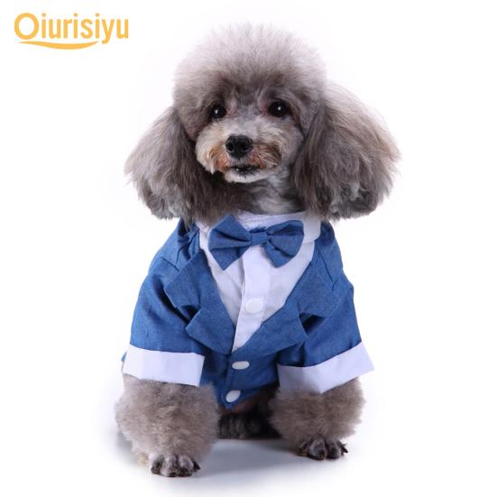 dog suit jacket