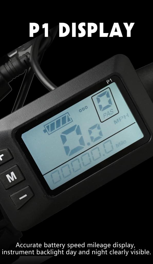 E-bike DZ2002 electric folding bicycle mountain bike 20 inches 750W 48V 16AH outdoor electric bicycle