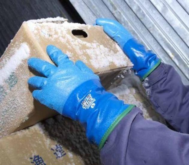 Showa Gloves Temless Cold Weather Gloves - (5 Pairs, Fleece-lined) (035-282, L)