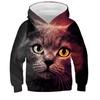 Autumn Cute Cat Pattern 3D Printed Hoodies Fashionable Casual Sports Long Sleeved Children's Boy Hooded Sweatshirts