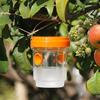 Hanging Wasp Trap Reusable Fruit Fly Trap Eco-friendly Detachable Plastic Hornet Trap with Two Entrances for Garden Orchard Effective Insect Control