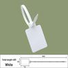 Integrated Plastic Security Seal Tags