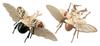 Free Research Series TV Anime on Edition Beetle Stag Beetle Solid Titan Specification Plastic Model No.256 "Attack Titan" &
