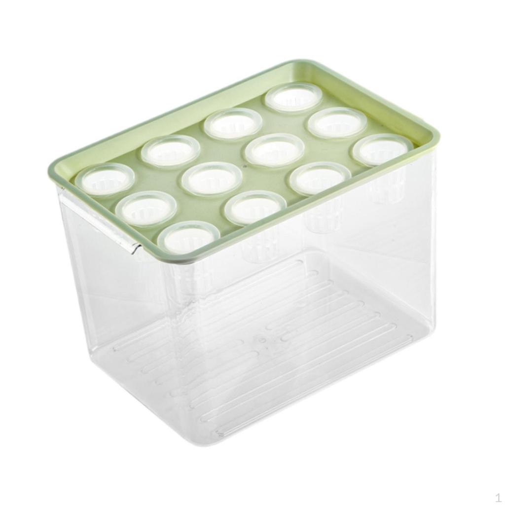 Home Hydroponics Growing Box for Microgreens Development
