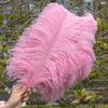 Wholesale Golden Ostrich Feathers Big 15-60CM Ostrich Plume for Wedding Party Home Decor Table Centerpieces Carnival DIY Crafts