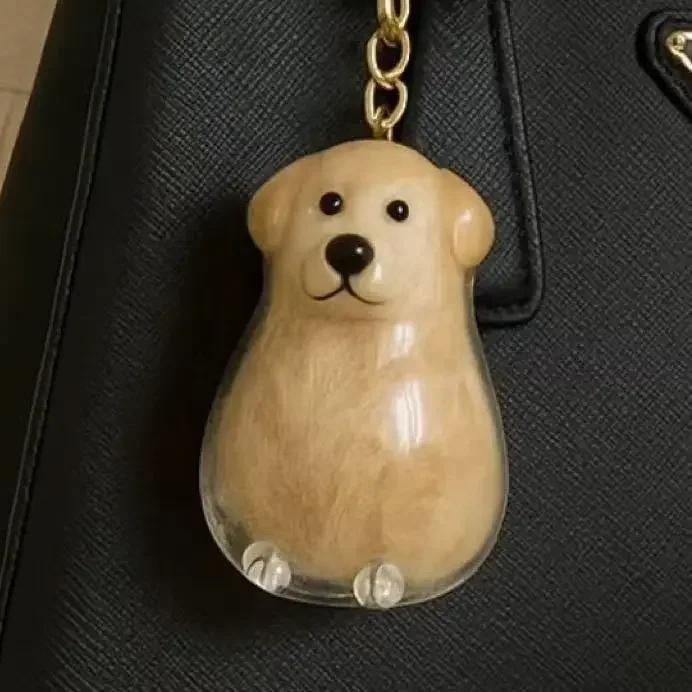 2026 Doorzichtige Hondenharen Opbergcontainer Schattige Huisdieren Herinnerings Capsule Hanger Met Sleutelhanger voor Huisdierenliefhebbers DIY Herdenkings Sleutelhanger