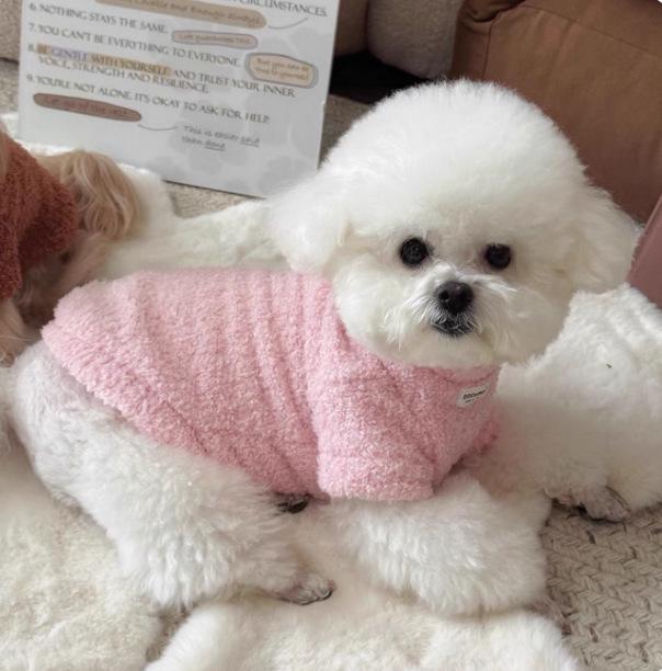 Abbigliamento Autunnale in Velluto per Cani di Piccola Taglia: Teddy, Bichon, Yorkshire, Pomerania, Barboncino