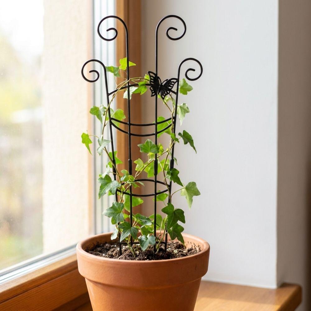 Butterfly Shaped Plant Climbing Trellis Strong Load Bearing Vine Climbing Rack Potted Plants
