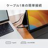 FUNLOGY Mobile Monitor Inches Lightweight and Thin 615g Full HD 1920 X 1080 Dual Display Remote Work Game USB Cable Included Japanese (Monitor/Mobile