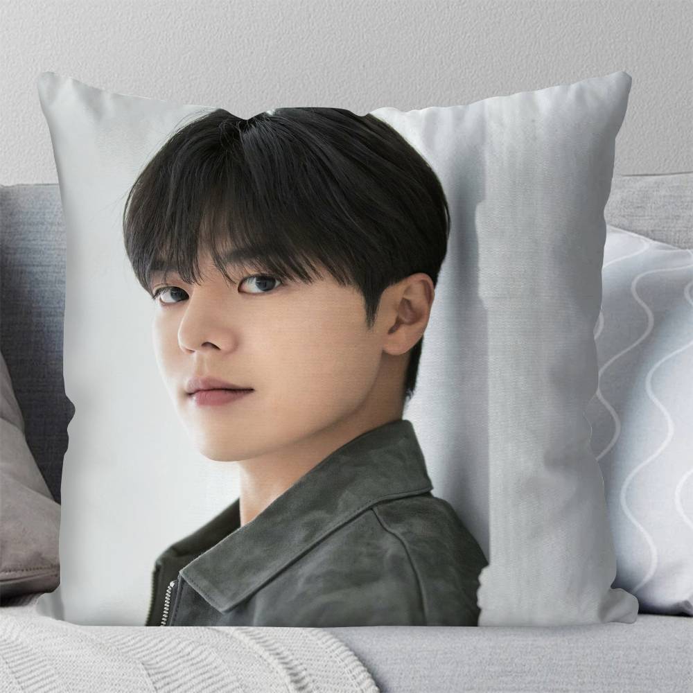 Korean Celebrity RRyeo Un Pillow Case Fashion Square Pillowcase Bedroom Sofa Room Ins Decoration Leisure
