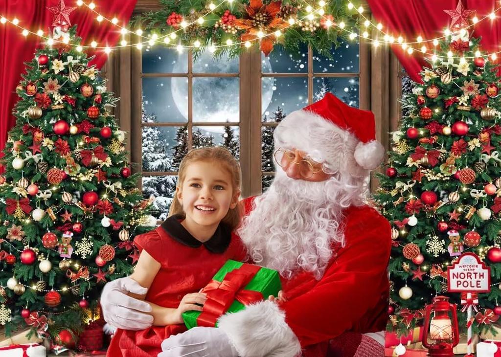 7x5ft Christmas Backdrop - Xmas Window Photography Backdrop - Winter Dream Wonderland Snow Tree Red Curtain Christmas Festival Party Banner