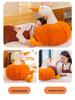 Halloween Pumpkin Duck Plush Toy – Funny Stuffed Doll Pillow Gift