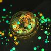 1 Box Gloss Art Effect Sequin Shiny Nail Luminous High Non-drop DIY Iridescent Firefly Style