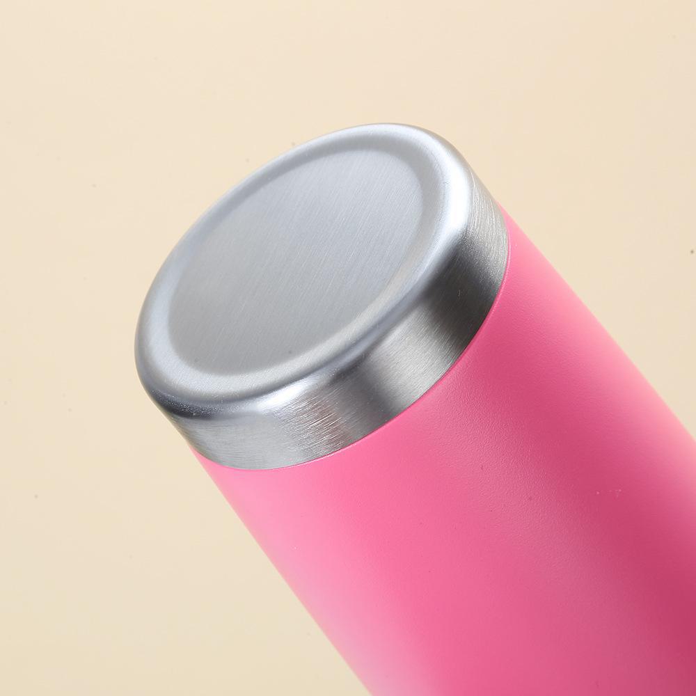 20oz Double-Layer Stainless Steel Thermos Cup – Cold-keeping Spray Finish for Cars & Beer